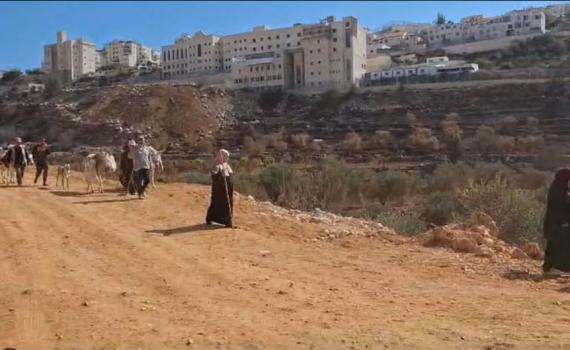 טרור בחסות המסיק: פיגוע ענק נמנע בבית"ר עילית