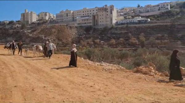 טרור בחסות המסיק: פיגוע ענק נמנע בבית"ר עילית