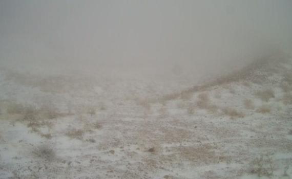 קצת לבן בעיניים: שלג ראשון ירד הלילה באתר החרמון