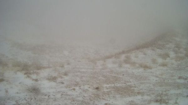 קצת לבן בעיניים: שלג ראשון ירד הלילה באתר החרמון