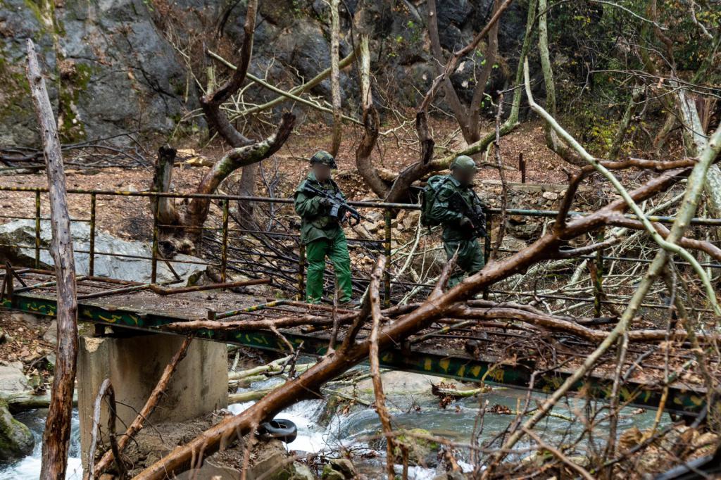 המתקשרת טוענת: לא יחתם הסכם עם לבנון