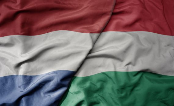 באמצע המשחק: עוזר מאמן הונגריה חטף התקף לב