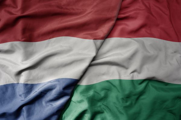 באמצע המשחק: עוזר מאמן הונגריה חטף התקף לב