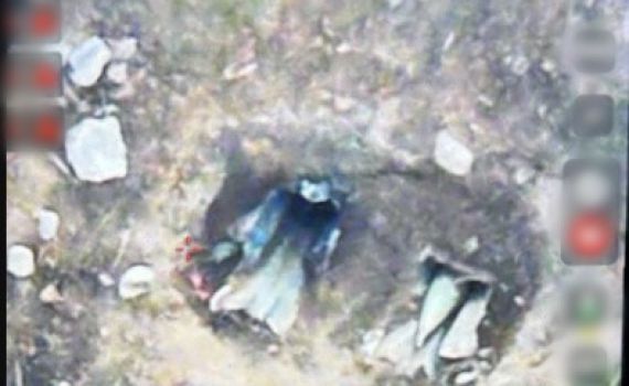 לאחר הירי למרכז הארץ: חיל האוויר תקף את המשגרים ברצועה