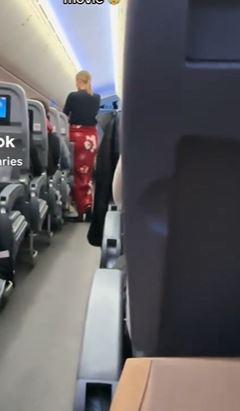 הרשת השתגעה: מה גרם לאישה לעמוד במשך 7 שעות טיסה?