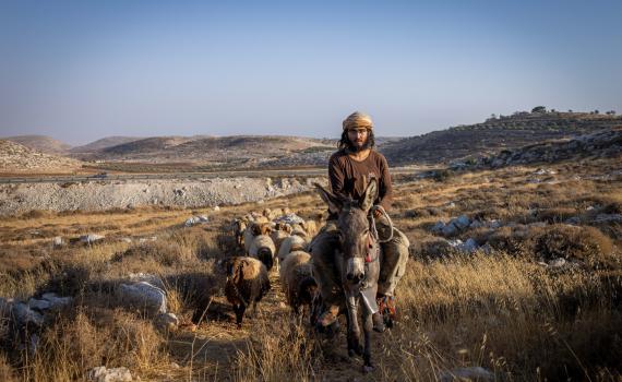 החוות והגבעות שמסכלות את תוכנית פיאד: פרק 3 – גבעת שדה יונתן