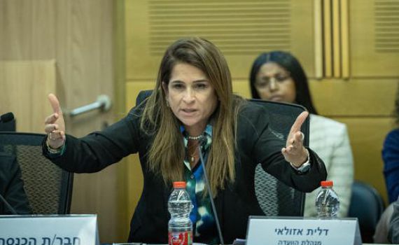 מירב בן ארי נחרדת: למה פעילי השמאל עצורים כמו מחבלים?