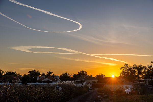 דובר צה"ל מציג: חיילים שמותר להם וחיילים שאסור להם