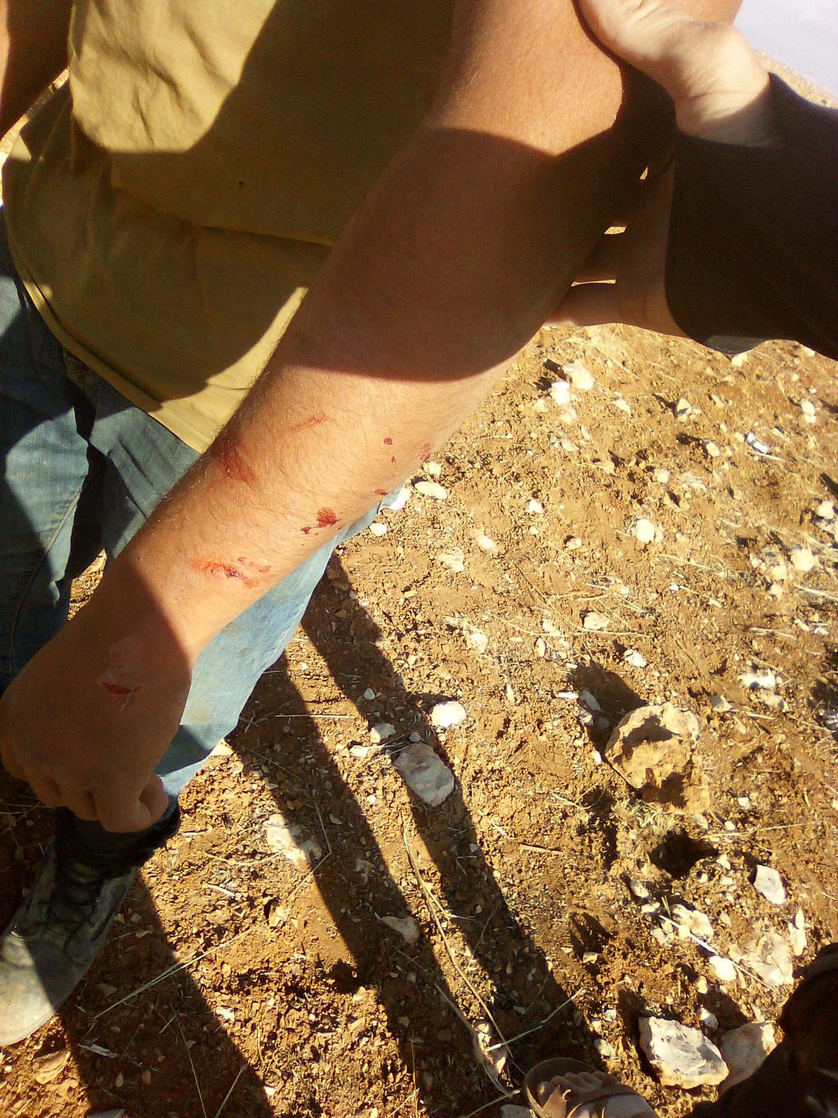 פורעים ערבים תקפו רועי צאן בבנימין, צה"ל עצר את היהודים