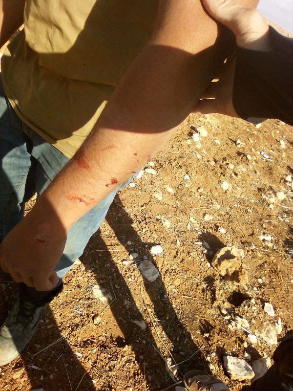 פורעים ערבים תקפו רועי צאן בבנימין, צה"ל עצר את היהודים