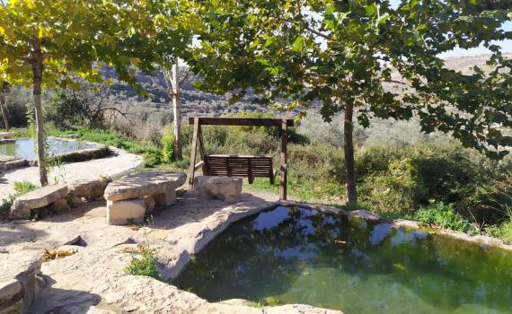 הרס עיינות ענר: "בג"ץ חבר לארגוני שמאל ולפלסטינים"