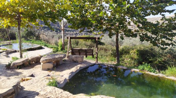 הרס עיינות ענר: "בג"ץ חבר לארגוני שמאל ולפלסטינים"