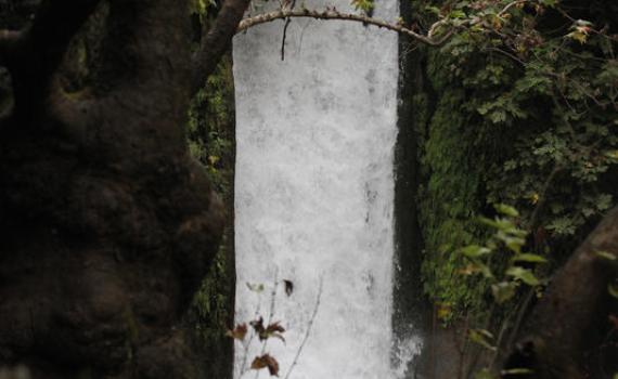 חוזרים לטייל: עוד חמישה אתרים נפתחו למבקרים בצפון