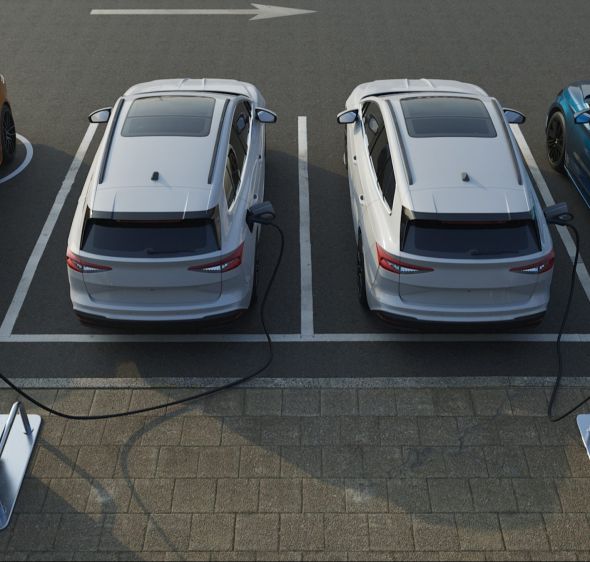 כבר בעוד חודשיים: זינוק בשיעור מס הקנייה על רכבים חשמליים