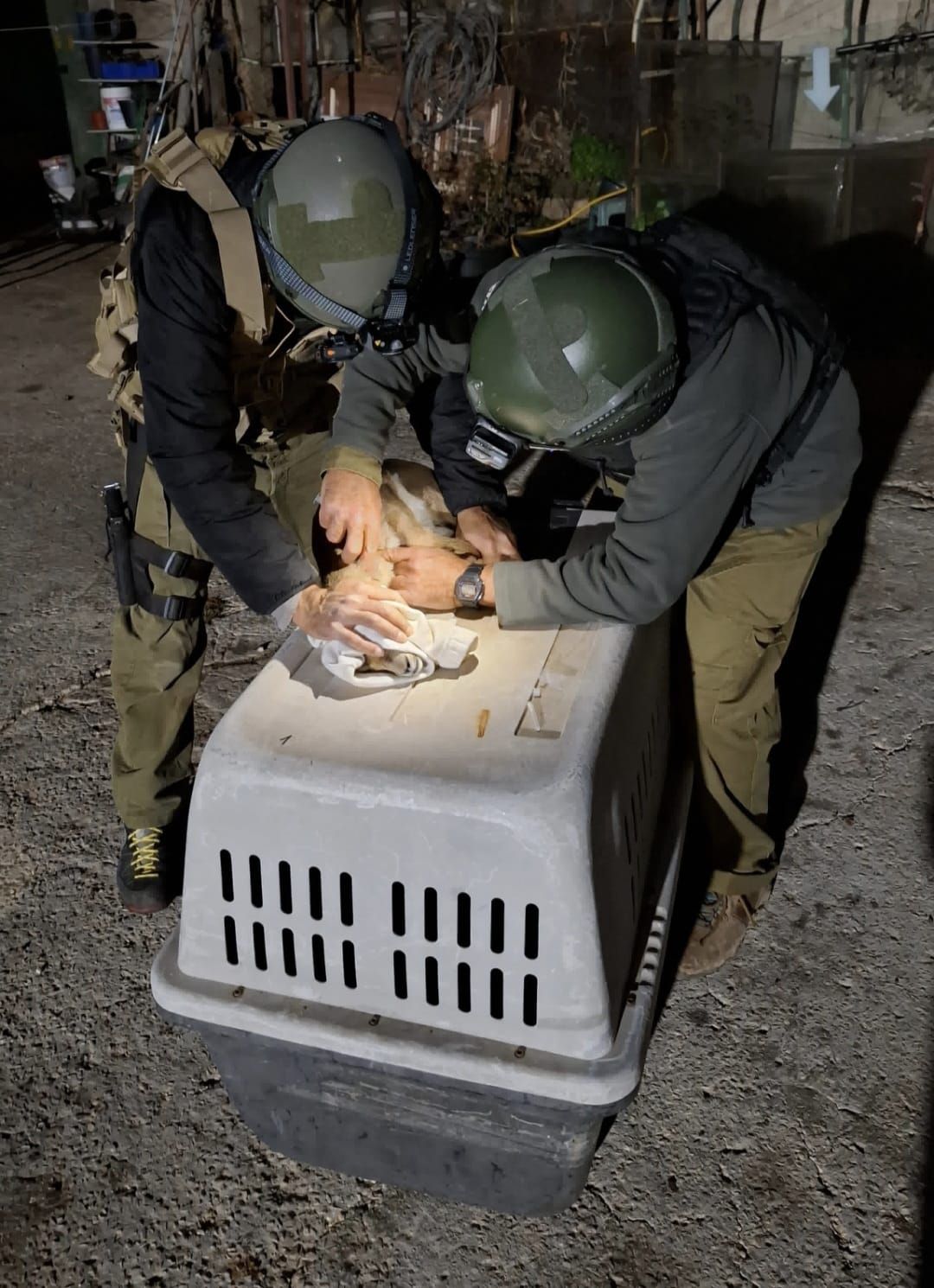 3 צבאים חולצו מפלסטיני שכלא אותם בניגוד לחוק