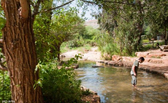 מדאיג: החורף הכי היבש בישראל ביותר מ-100 שנה