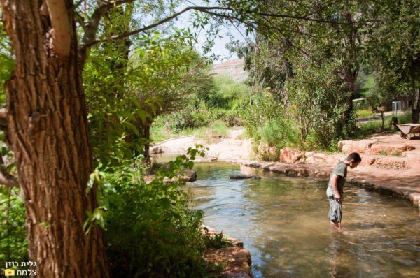 מדאיג: החורף הכי היבש בישראל ביותר מ-100 שנה