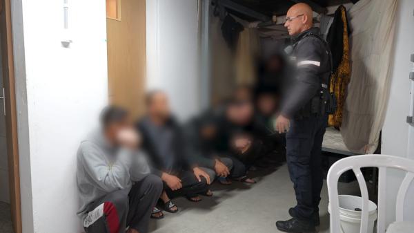 בסיוע יחידת הכלבנים: 25 שב"חים נעצרו ברמלה | צפו בתיעוד