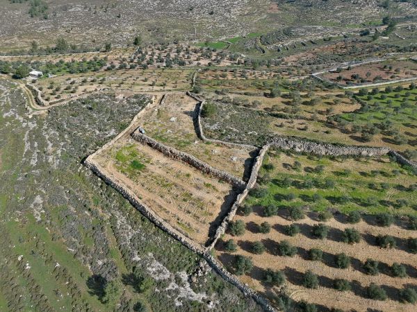 בעקבות העתירה לבג"ץ: תיעצר הפלישה הבלתי חוקית בגוש עציון