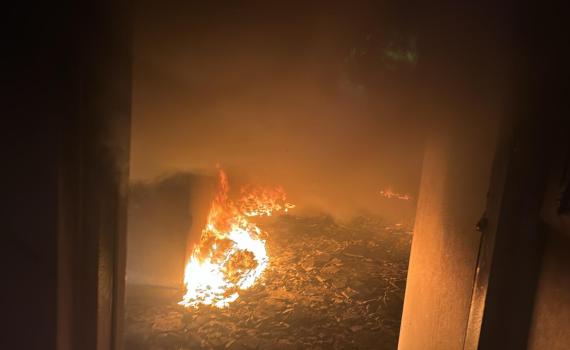 אסון: כוכב ילדים בריטי נהרג בשריפה בלוס אנג'לס