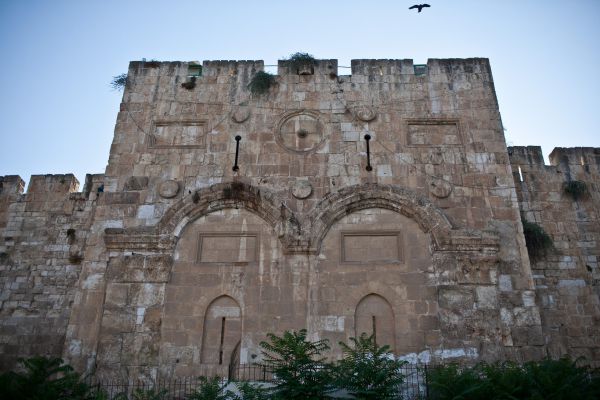 ח"כ משה סולומון: צום עשרה בטבת – קרבות פנימיים וחורבן