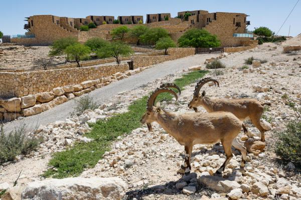 בשורה לתושבי הדרום: זה היישוב שיקבל זכאות לנשיאת רישיון נשק