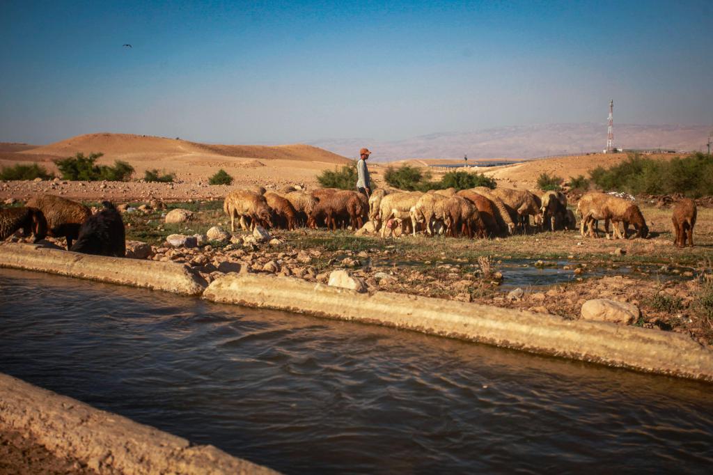 חשיפה: פעיל שמאל דרס מתנדב מג"ב בבקעה