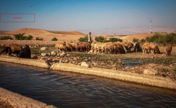 חשיפה: פעיל שמאל דרס מתנדב מג"ב בבקעה