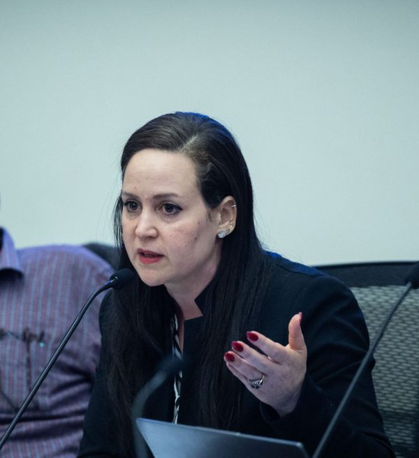 השותפה של רוטמן נגד הפשרה: משאיר את שלטון השופטים