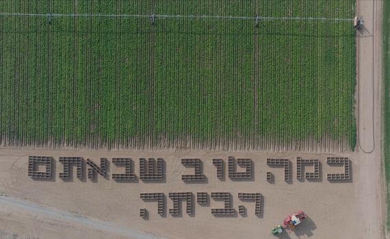 מרגש: חקלאים ממשקי הנגב במחווה לחזרתם של החטופים לישראל