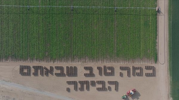 מרגש: חקלאים ממשקי הנגב במחווה לחזרתם של החטופים לישראל