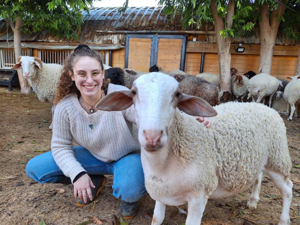 נס החנוכה שלהם: בואו לפגוש את בעלי החיים שהמזל האיר להם