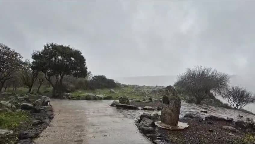 בעקבות הנתון החריג: משרד הבריאות באזהרה דחופה