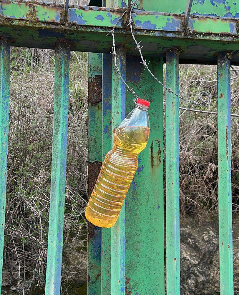 תושבי הצפון חוזרים לשגרה: בקבוק בנזין עם דרישה לפרוטקשן