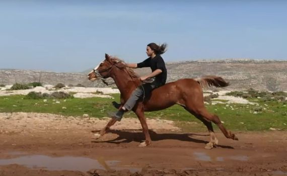 החזית בוערת – והחקלאים שלנו לבד | תרמו עכשיו