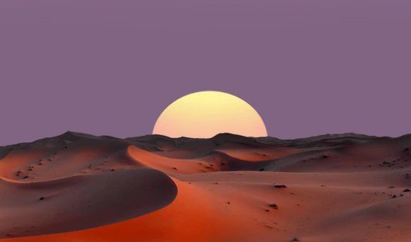 תפנית מפתיעה: צרפת תתמוך בכיבוש של מרוקו על הסהרה המערבית