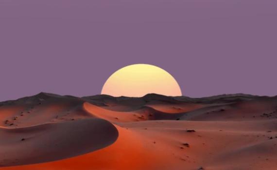 תפנית מפתיעה: צרפת תתמוך בכיבוש של מרוקו על הסהרה המערבית