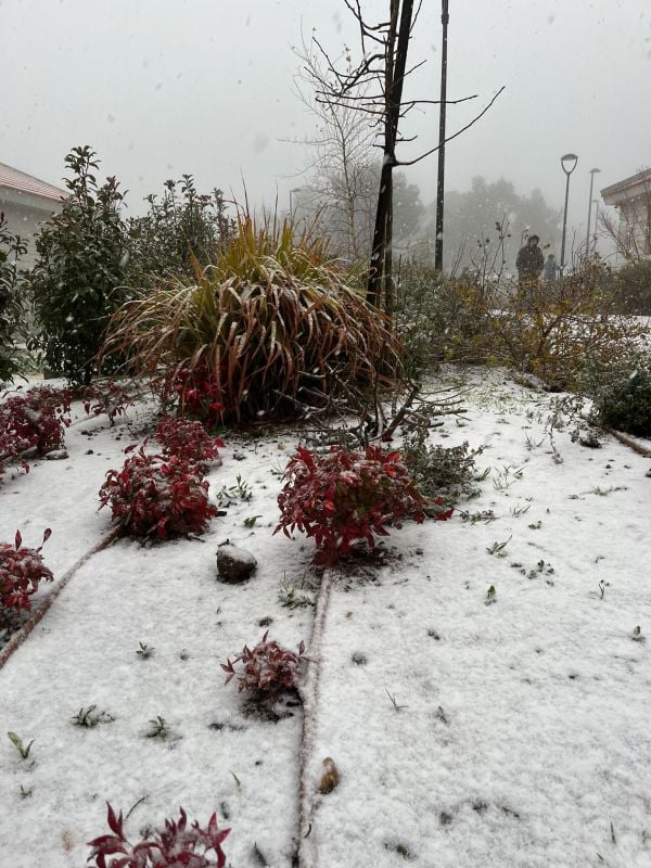 סוף סוף: שלג בצפון, זרימות אדירות בנחלים. צפו