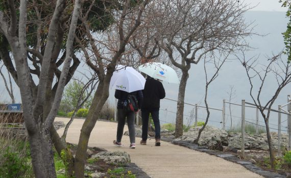 ניחוח אירופאי: הגשם שטף את שמורת גמלא שברמת הגולן