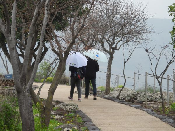 ניחוח אירופאי: הגשם שטף את שמורת גמלא שברמת הגולן