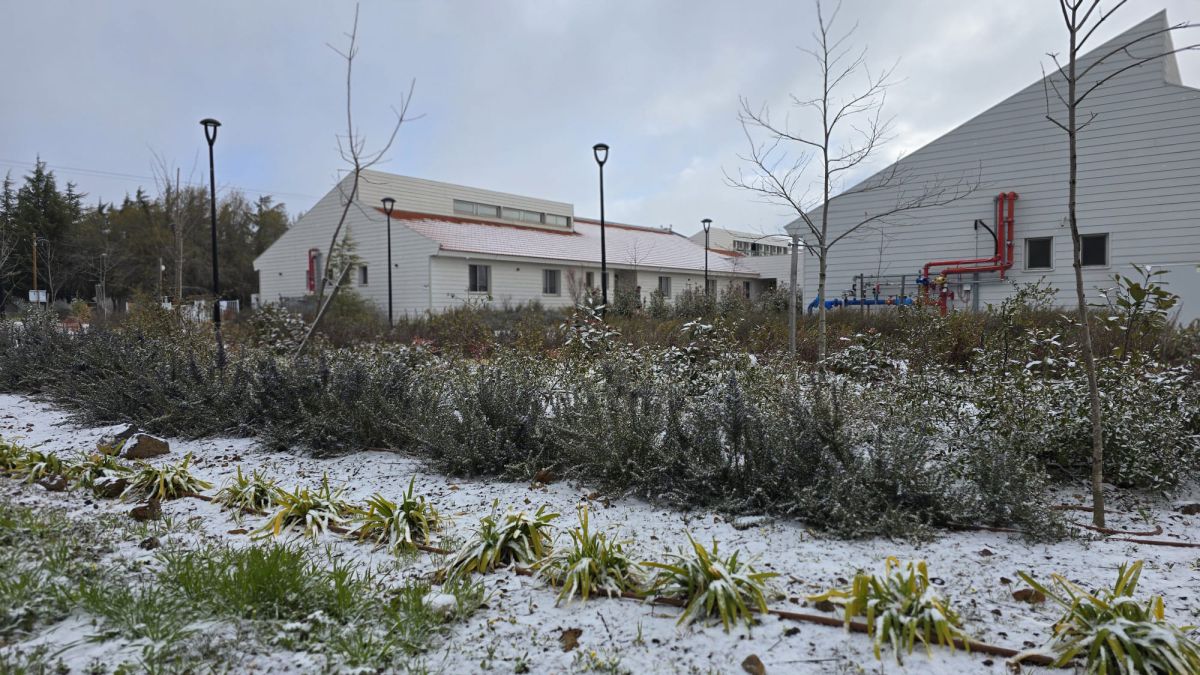 שלג נערם בקיבוץ אלרום בצפון רמת הגולן. צפו בפלא