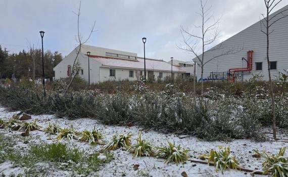 שלג נערם בקיבוץ אלרום בצפון רמת הגולן. צפו בפלא