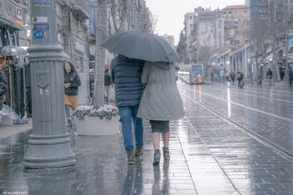 התראה מטאורולוגית; קור קיצוני ורוחות: תחזית מזג אוויר