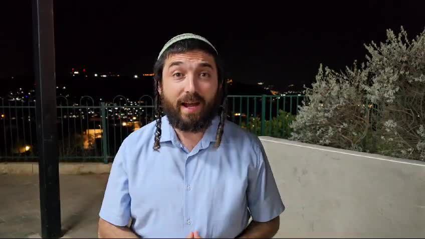 ״צה״ל יצמצם דרמטית את כוח ההגנה על ישובי יו"ש"