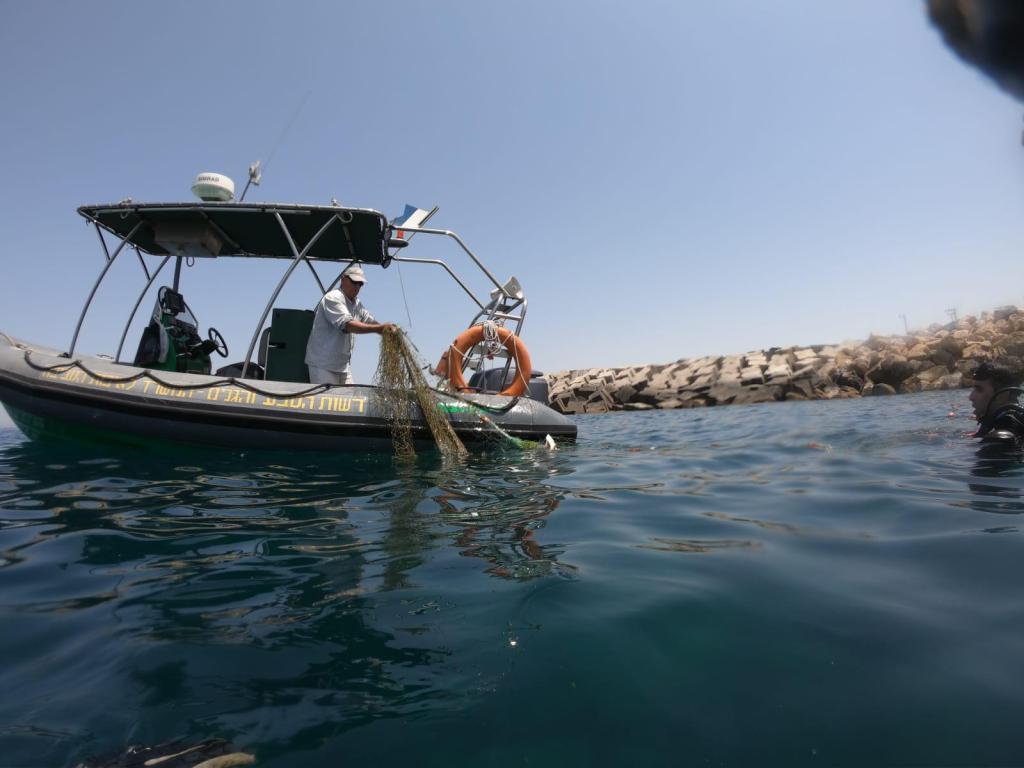 במשרד החקלאות הודיעו על איסור בדיג במהלך עונת הרבייה והגיוס