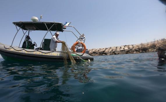 במשרד החקלאות הודיעו על איסור בדיג במהלך עונת הרבייה והגיוס