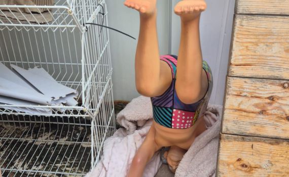 תוך שעות: נעצר חשוד בגניבת פסל ייחודי ממלון במרכז תל אביב