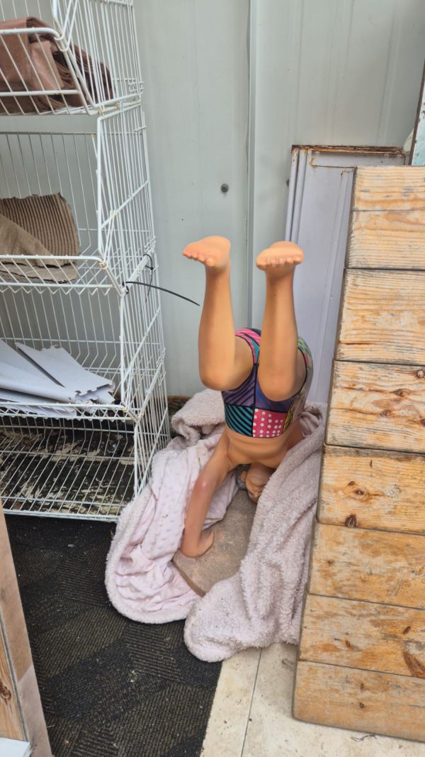 תוך שעות: נעצר חשוד בגניבת פסל ייחודי ממלון במרכז תל אביב