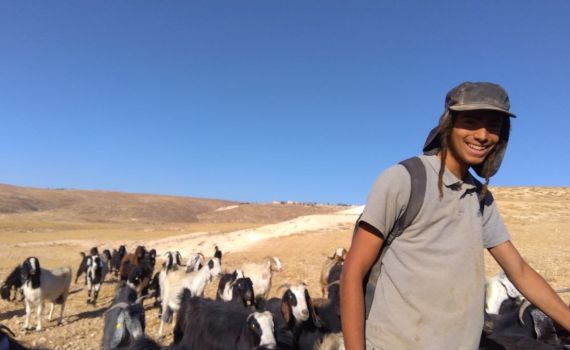 הטרור נמשך: רועה צאן הותקף באלות בגוש עציון, הפורעים נמלטו