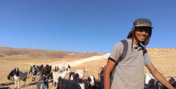 3 ימים בלבד לאחר מעצרו: שוחרר הפורע שתקף באכזריות רועה צאן